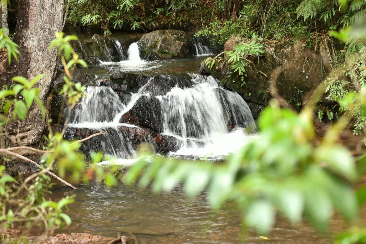 Avaliação ambiental de nascentes